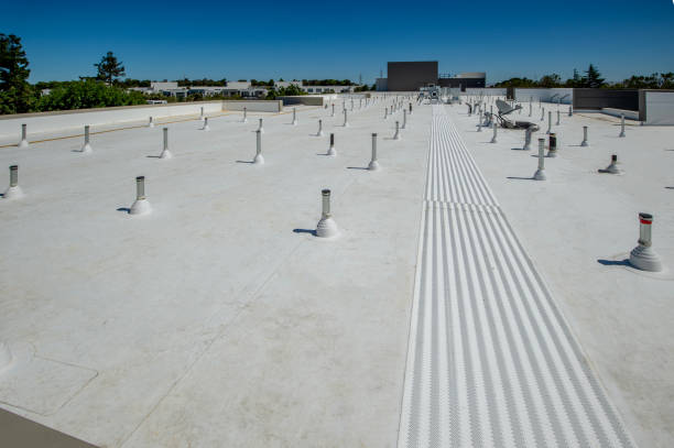 Best Roof Moss and Algae Removal  in Bull Valley, IL